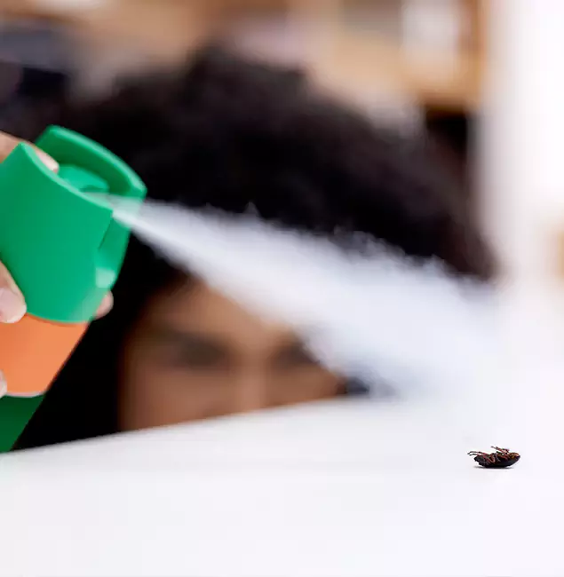 Why Hamburg, MI Homeowners Choose Hamburg Pest Control Pro for Roach Pest Control?