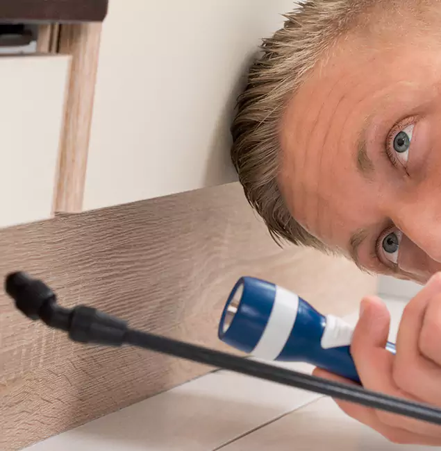 Why Choose Hamburg Pest Control Pro for Rodent Exterminator in Hamburg, MI?