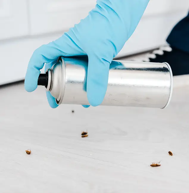 Why Choose Hamburg Pest Control Pro for Safe Bed Bug Treatment in Hamburg, MI?