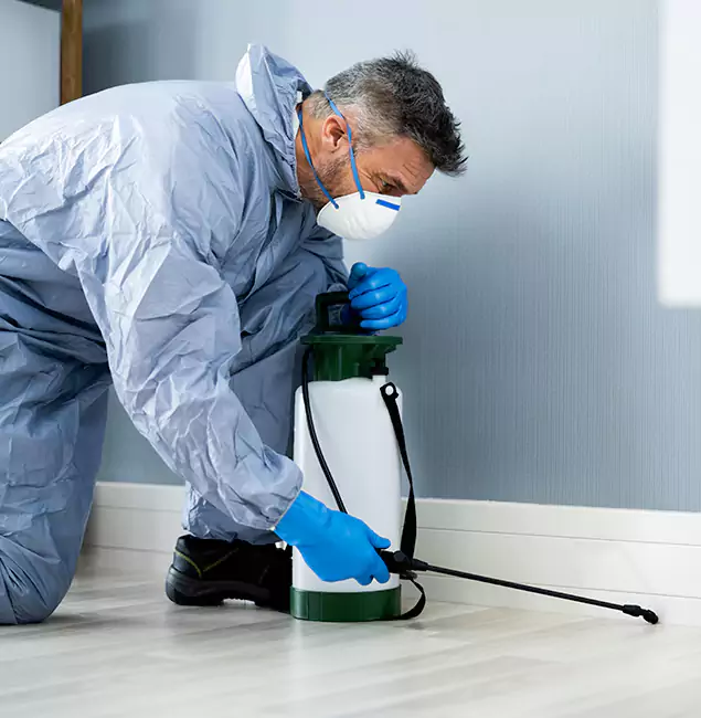 Why Choose Hamburg Pest Control Pro for Subterranean Termites Treatment in Hamburg, MI?