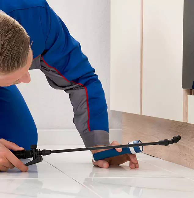 Why Hamburg Residents Choose Hamburg Pest Control Pro to Get Rid of Sugar Ants?