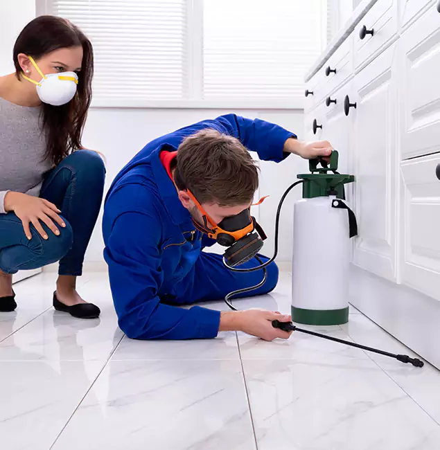 Why Choose Hamburg Pest Control Pro for Termite Inspection Cost in Hamburg, MI?