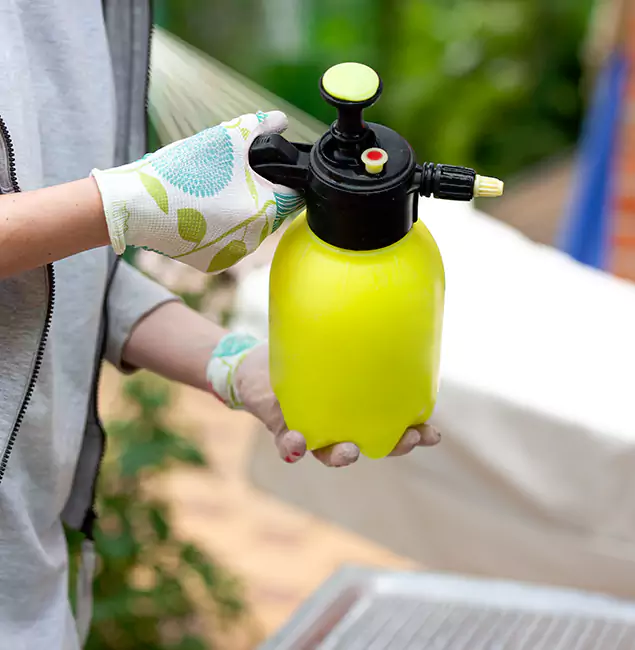 Why Choose Us: Hamburg Pest Control Pro Termite Spraying Experts in Hamburg, MI?