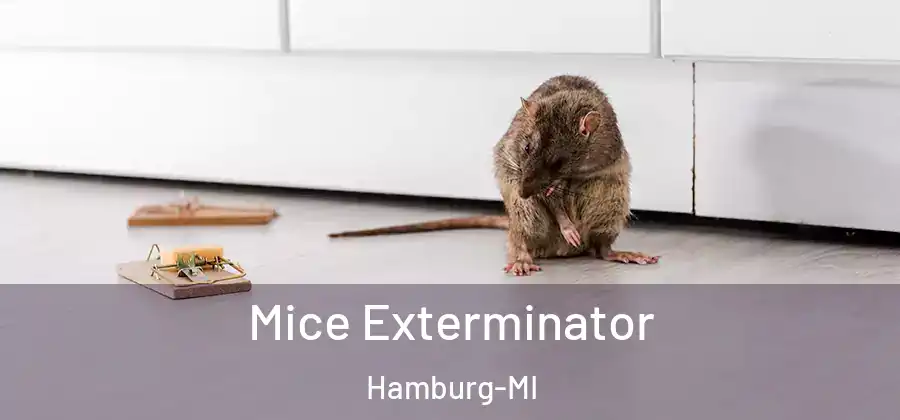 Mice Exterminator Hamburg-MI