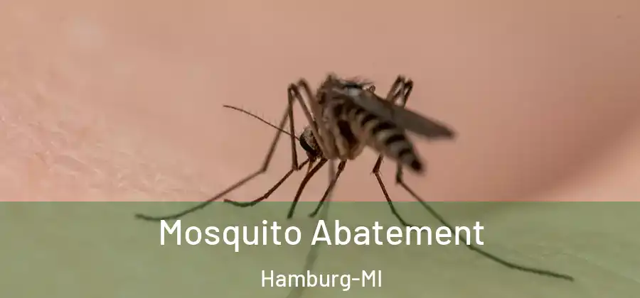 Mosquito Abatement Hamburg-MI