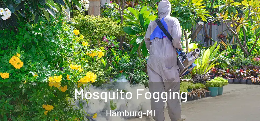 Mosquito Fogging Hamburg-MI