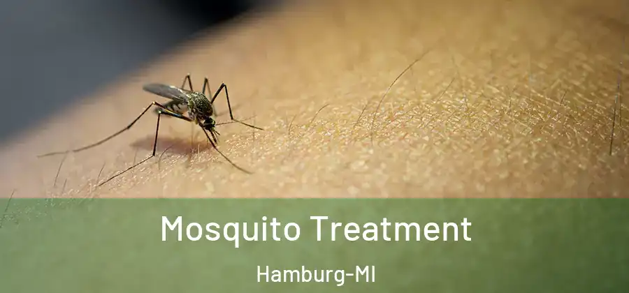 Mosquito Treatment Hamburg-MI