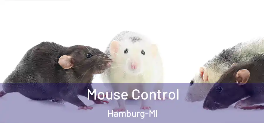 Mouse Control Hamburg-MI