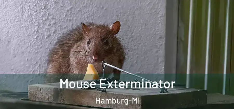 Mouse Exterminator Hamburg-MI