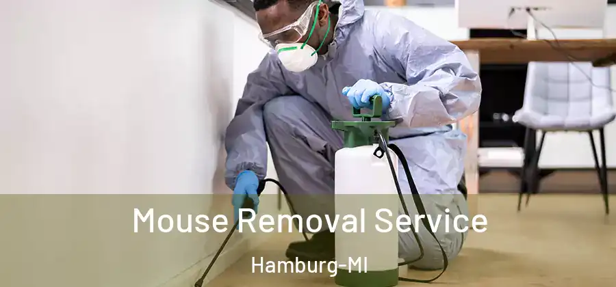 Mouse Removal Service Hamburg-MI