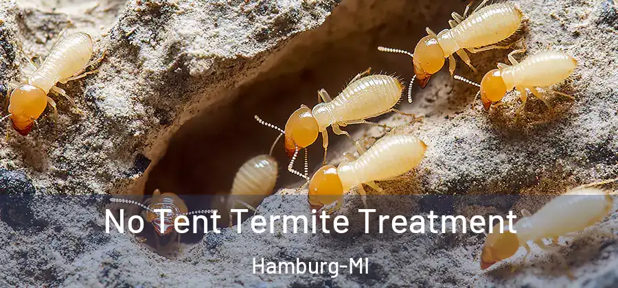 No Tent Termite Treatment Hamburg-MI