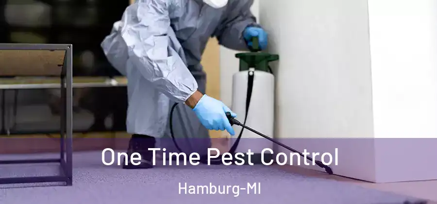 One Time Pest Control Hamburg-MI