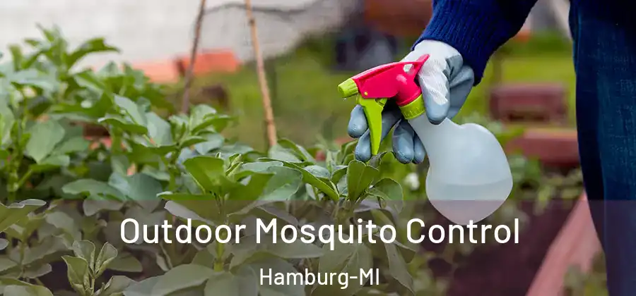Outdoor Mosquito Control Hamburg-MI