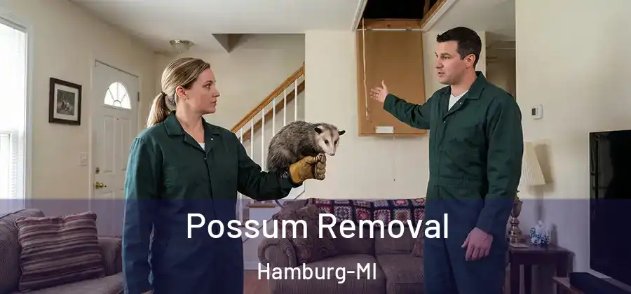 Possum Removal Hamburg-MI
