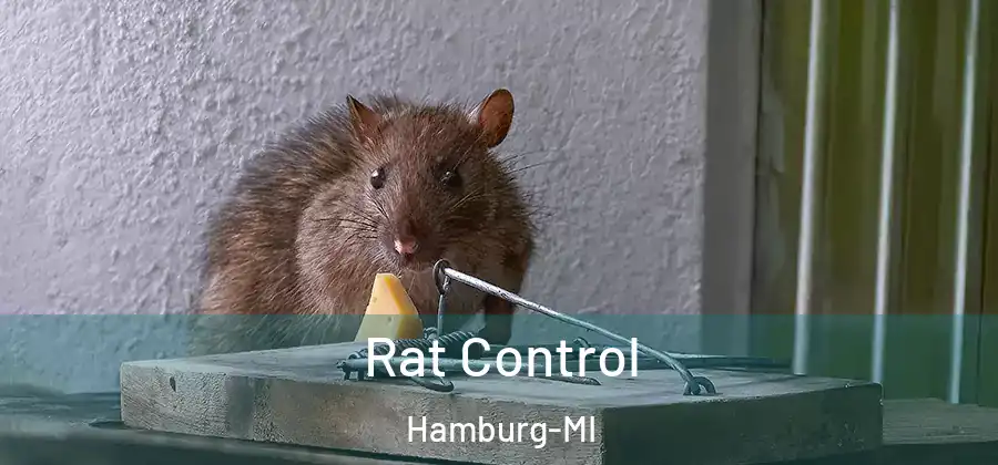 Rat Control Hamburg-MI
