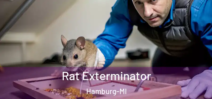Rat Exterminator Hamburg-MI