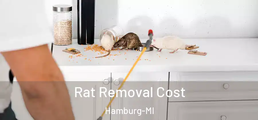  Rat Removal Cost Hamburg-MI