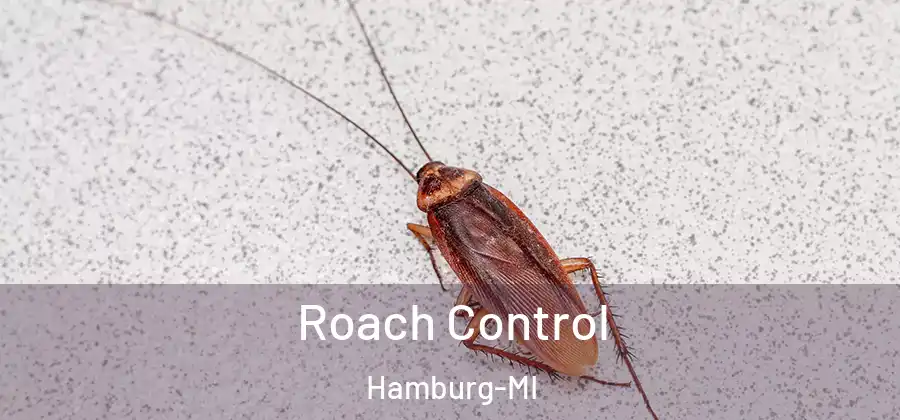 Roach Control Hamburg-MI