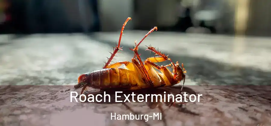 Roach Exterminator Hamburg-MI