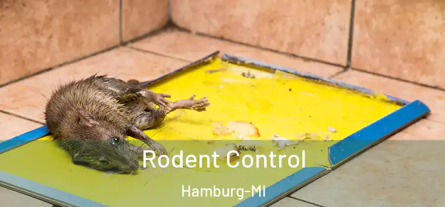 Rodent Control Hamburg-MI