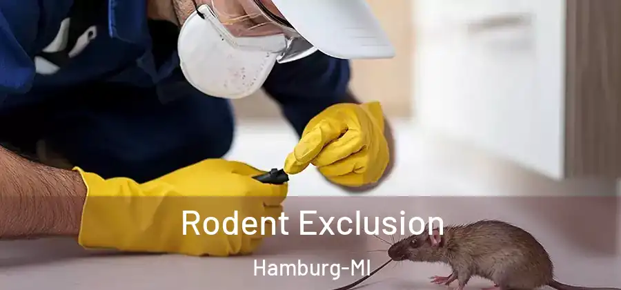 Rodent Exclusion Hamburg-MI