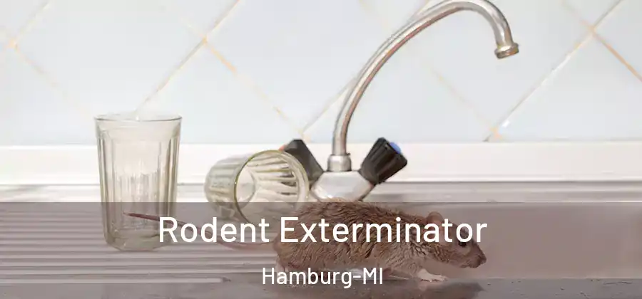 Rodent Exterminator Hamburg-MI