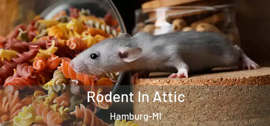 Rodent In Attic Hamburg-MI