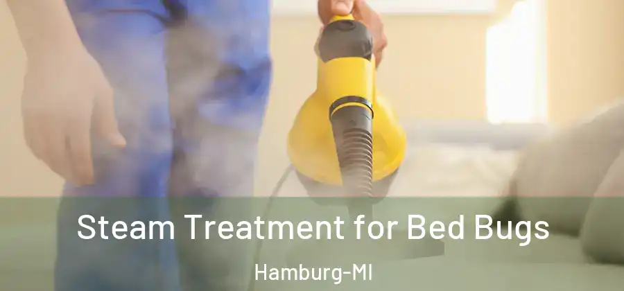 Steam Treatment for Bed Bugs Hamburg-MI