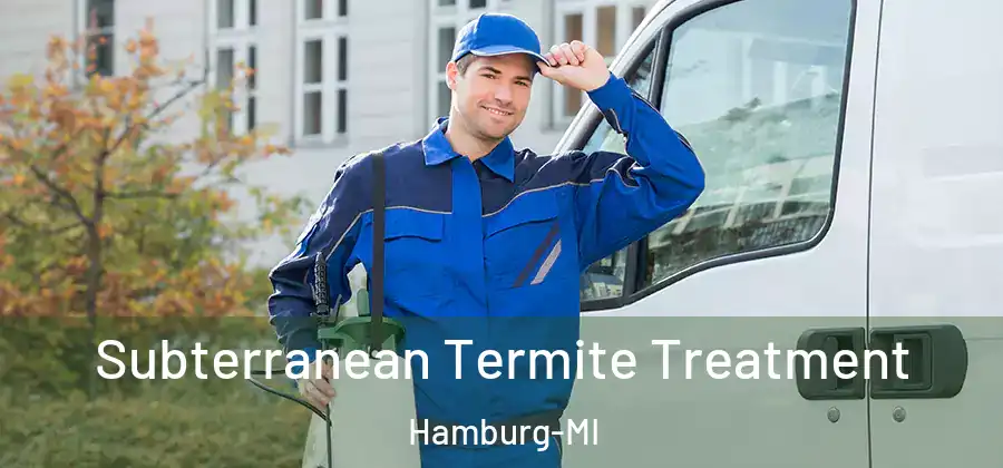 Subterranean Termite Treatment Hamburg-MI