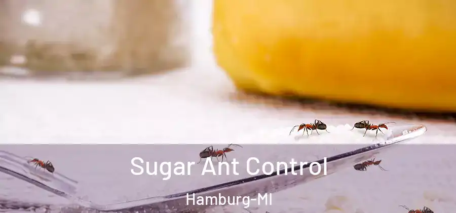 Sugar Ant Control Hamburg-MI