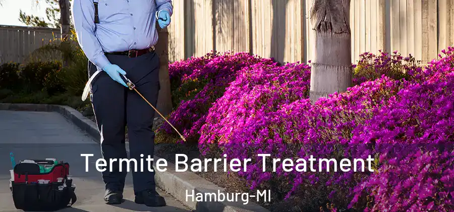 Termite Barrier Treatment Hamburg-MI