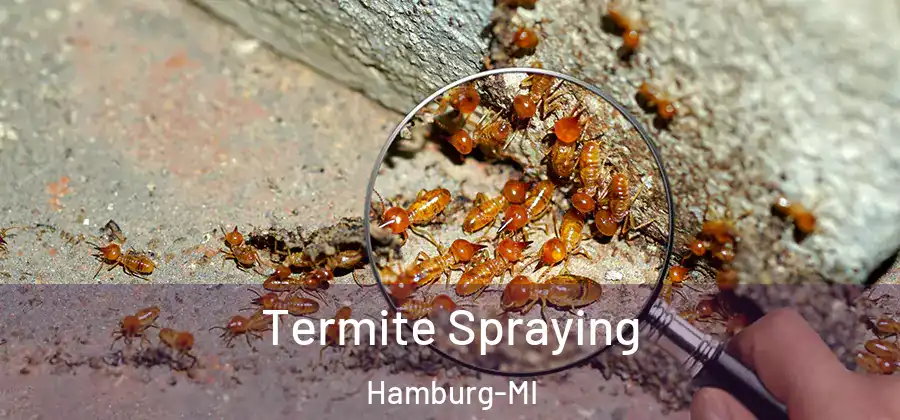 Termite Spraying Hamburg-MI