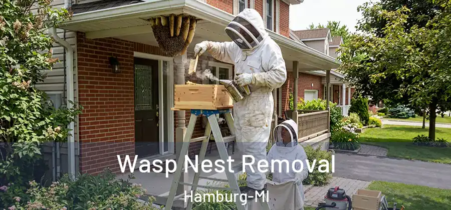 Wasp Nest Removal Hamburg-MI