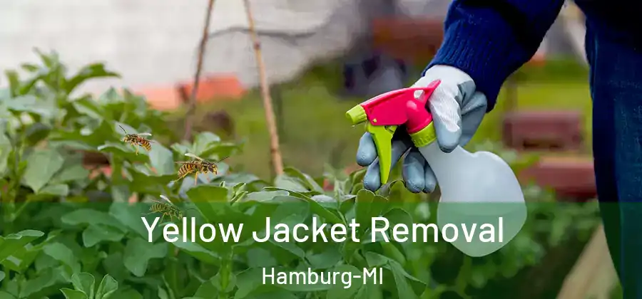 Yellow Jacket Removal Hamburg-MI